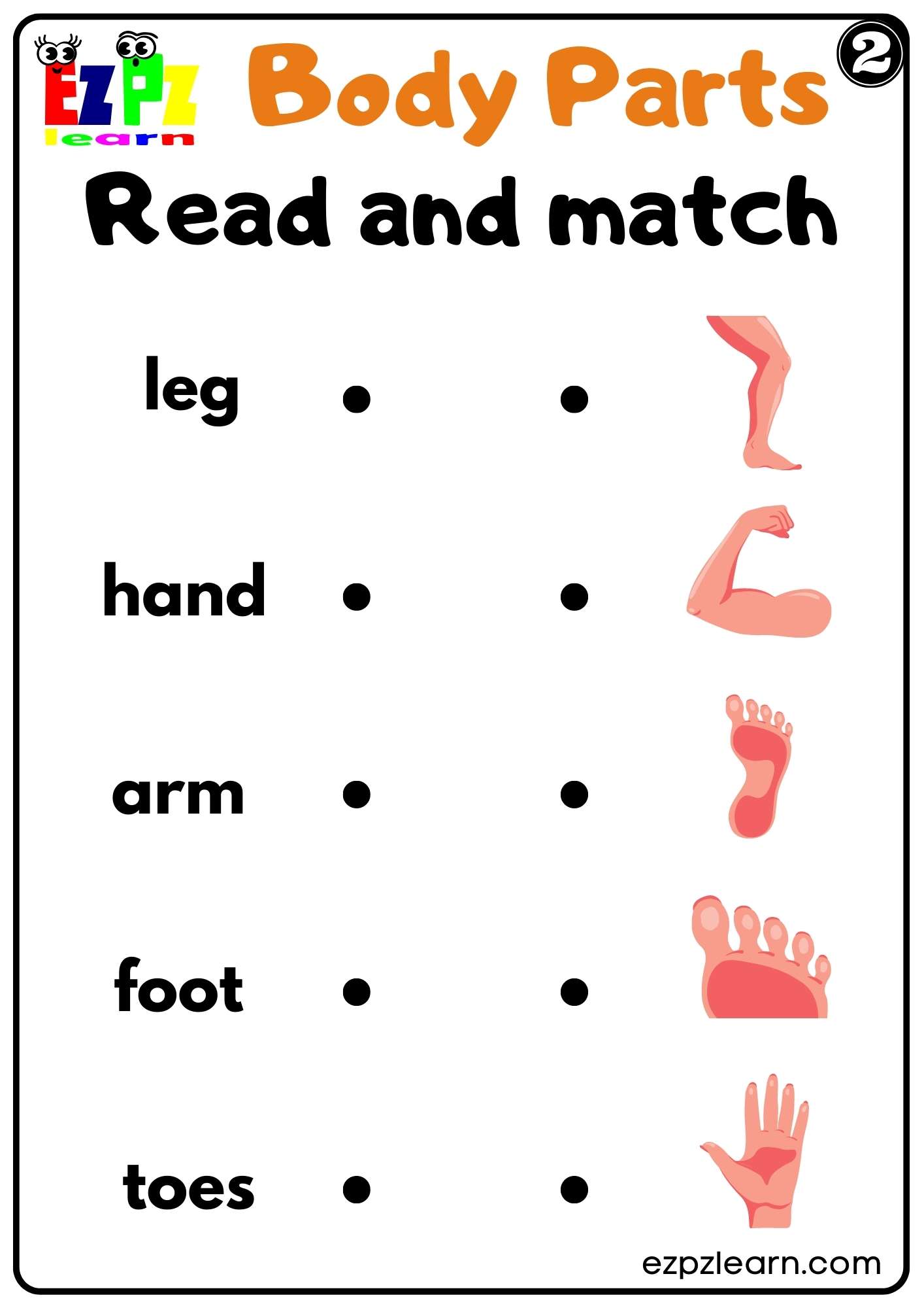 Body Parts Read and Match Worksheets for Kids and ESL PDF Download set 2